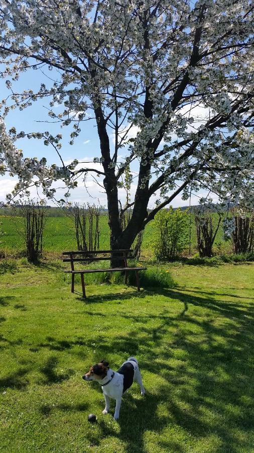 Ferienhaus Stolle Lawalde Exteriér fotografie